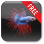 Logo of Betta Free android Application 